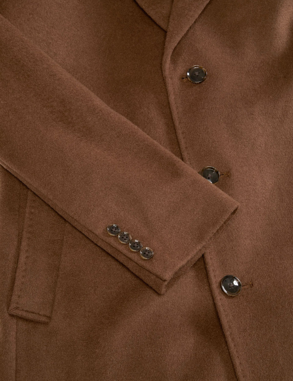 DARK CAMEL